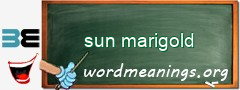 WordMeaning blackboard for sun marigold